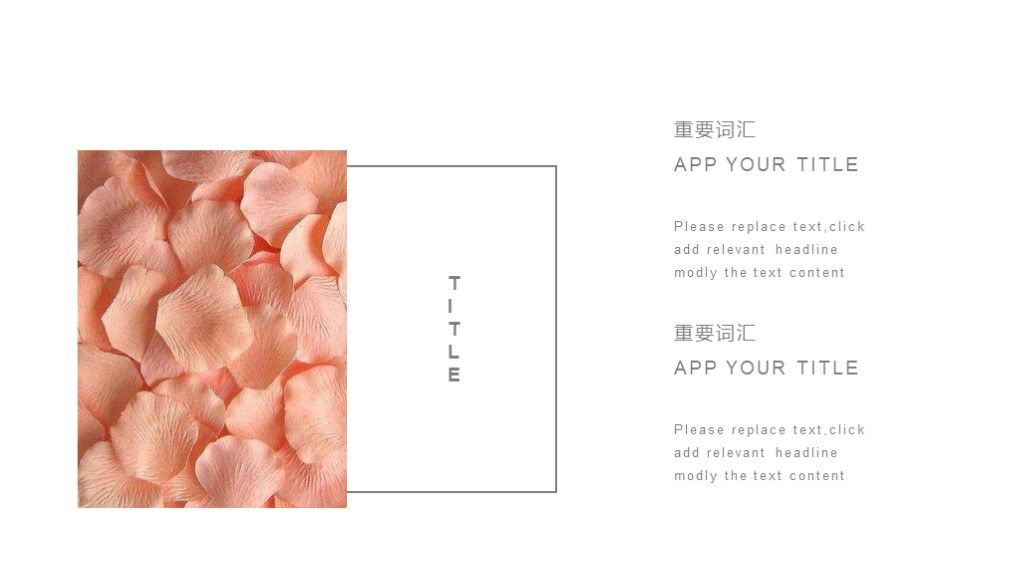 欧美风极简设计商务PPT模板6