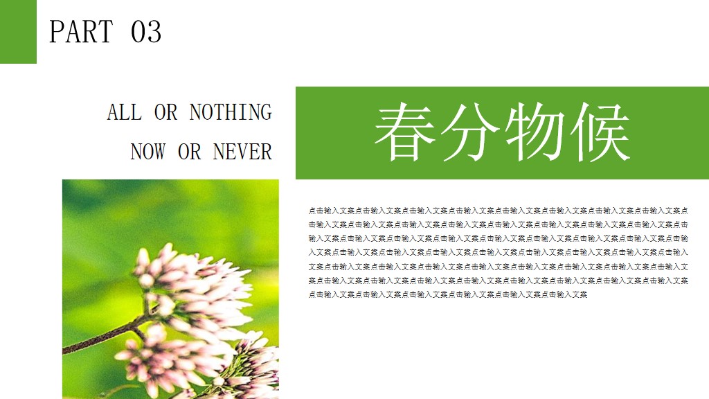 二十四节气―春分PPT模板6