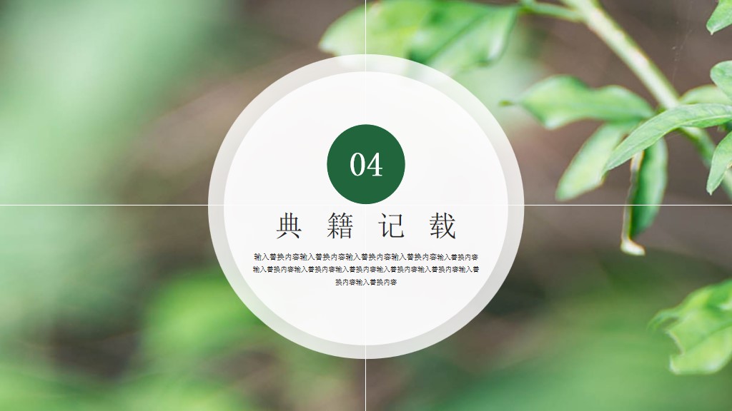 传统节春分通用PPT模板7