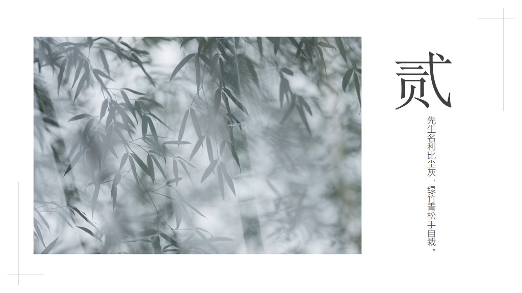 中国风竹柏之影通用策划PPT模板4