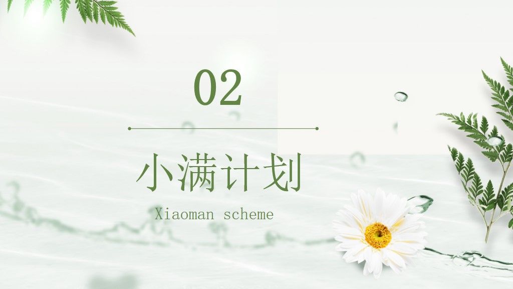 二十四节气小满PPT模板4