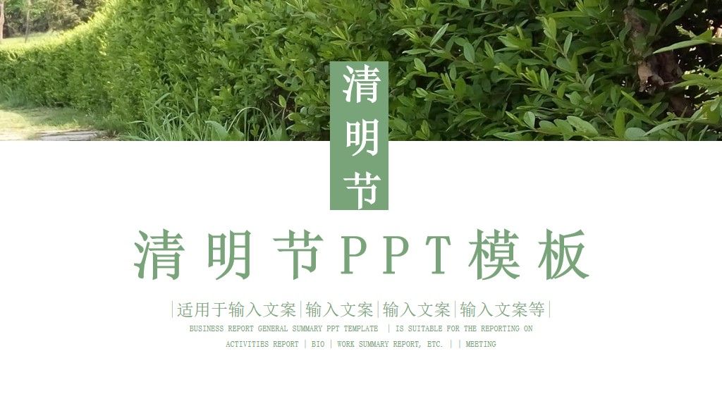 简约风清明节介绍PPT模板1