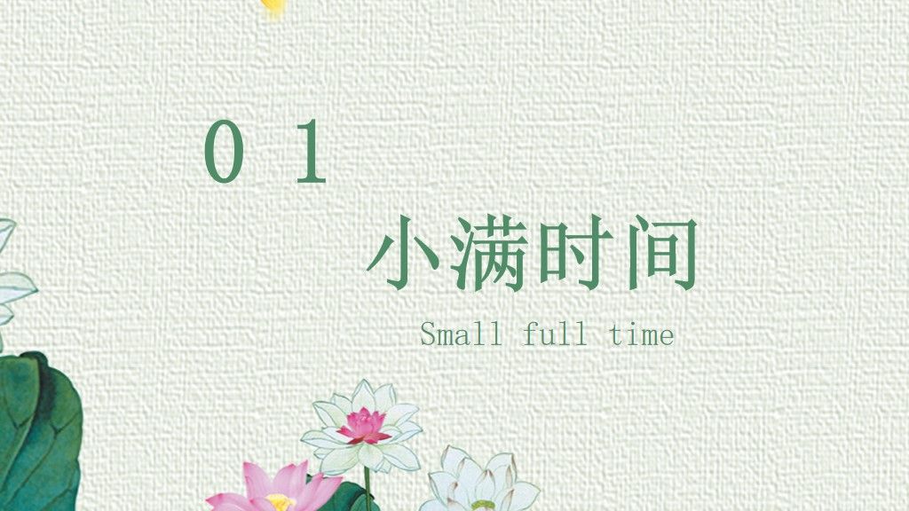 5.21小满节日活动策划PPT模板3