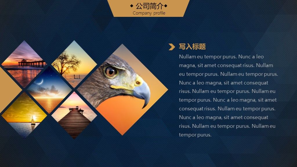 黑色大气高端商业创业计划书PPT模板3
