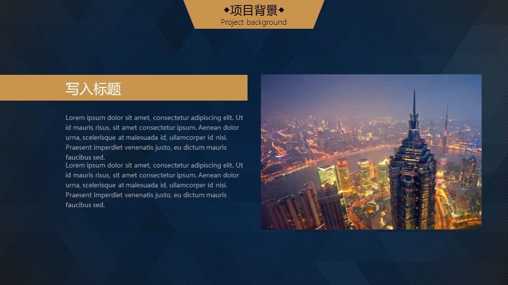 黑色大气高端商业创业计划书PPT模板5