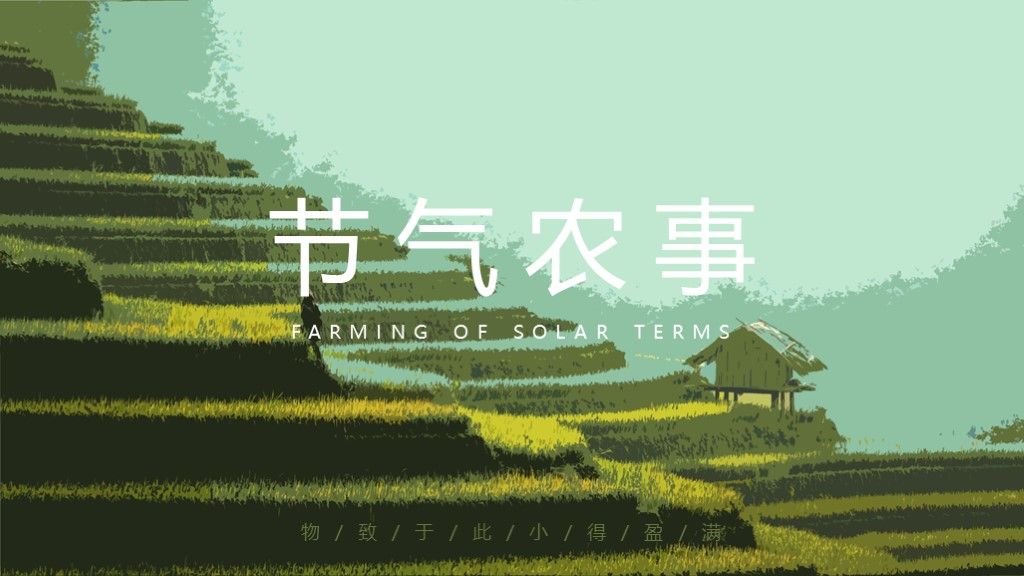 中国传统节气小满24节气ppt模板6