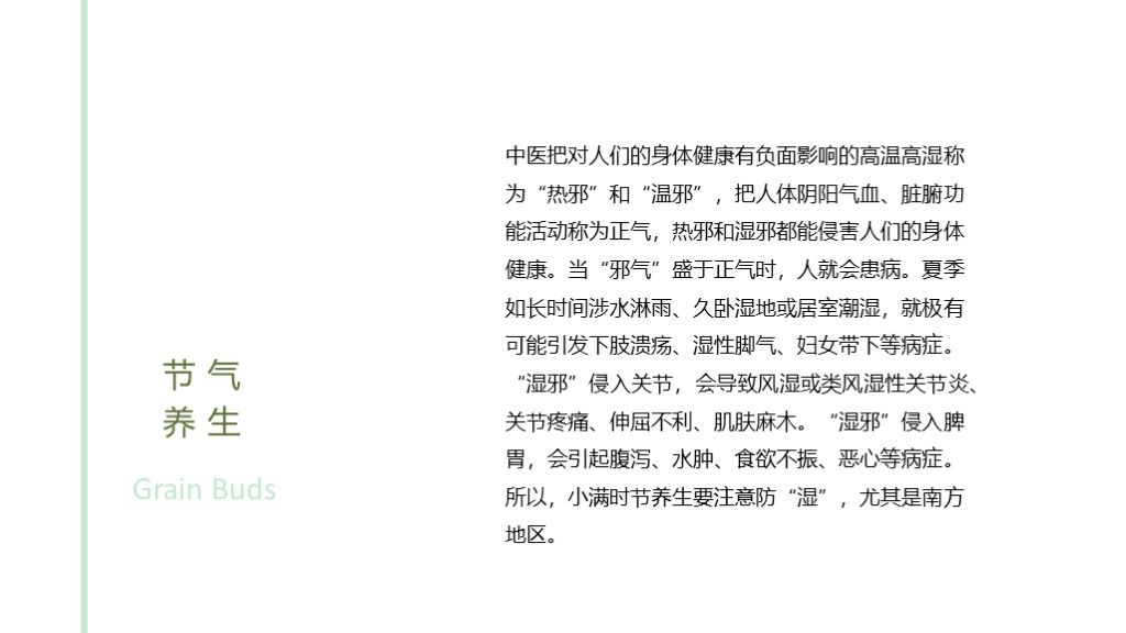 中国传统节气小满24节气ppt模板8