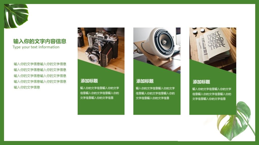 小清新极简毕业答辩通用学历PPT模板5