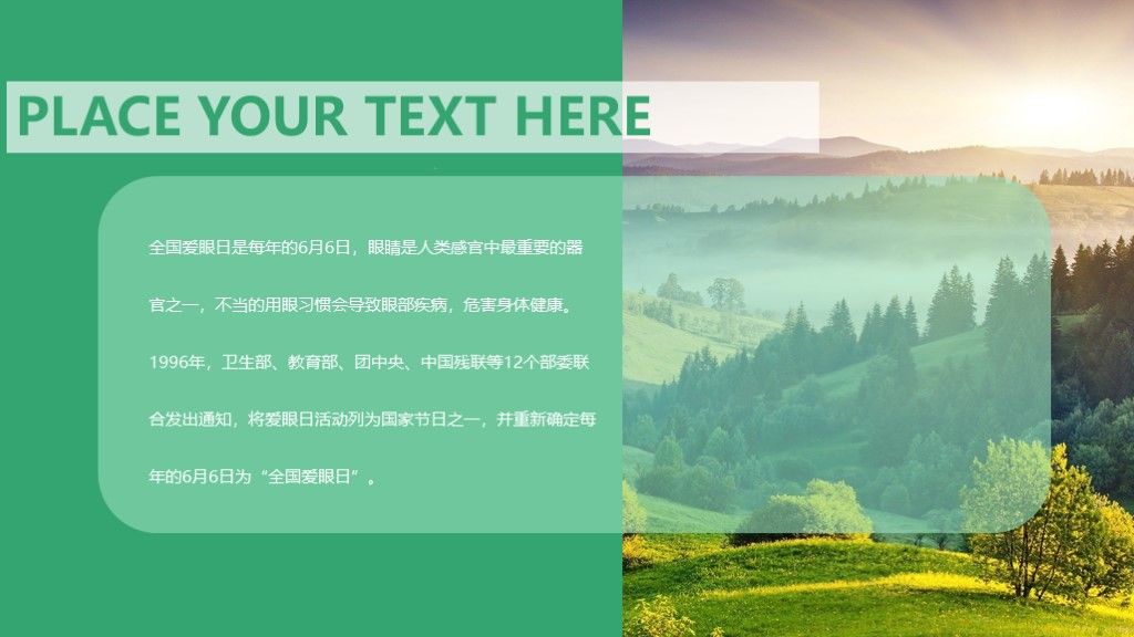 全国爱眼日保护视力公益宣传PPT模板4