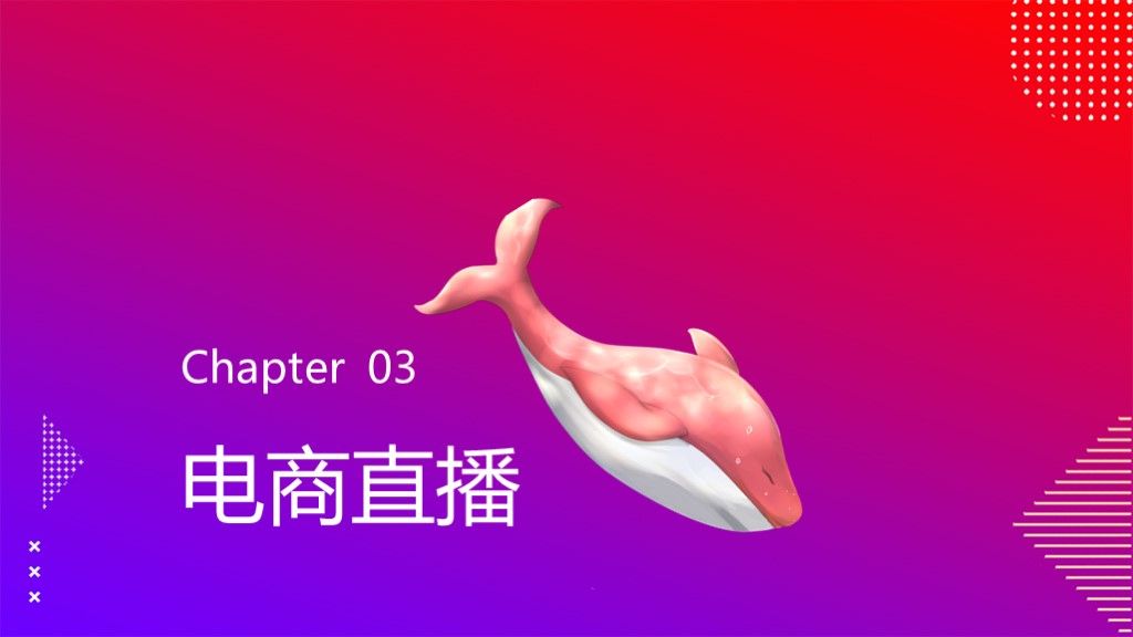 双11购物狂欢节电商淘宝直播活动策划PPT模板7