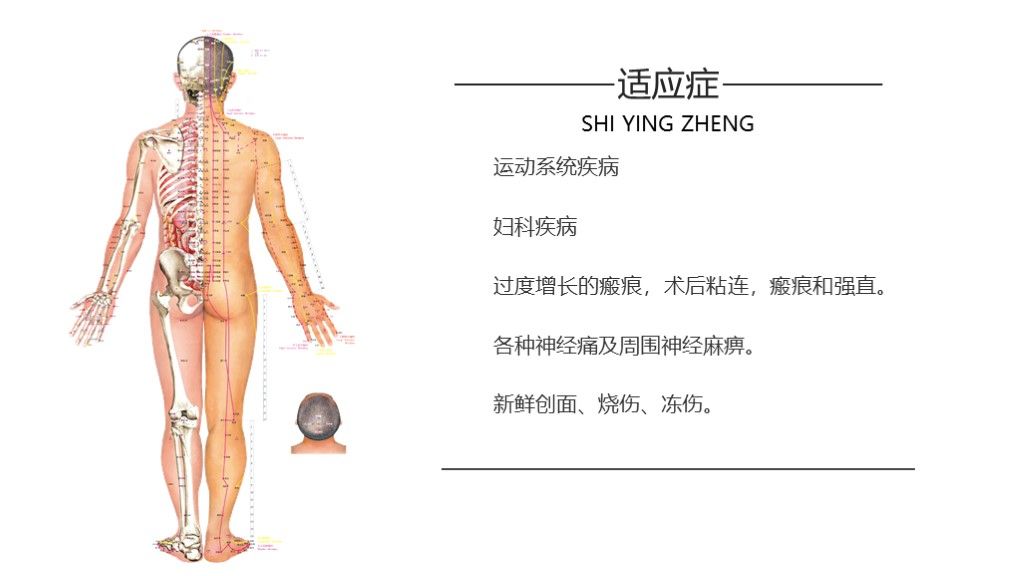 中医文化中药熏蒸蜡疗法介绍医疗保健PPT模板5