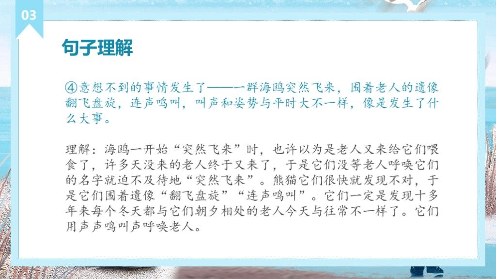 老人与海鸥小学人教版6年级语文教学课件PPT模板7