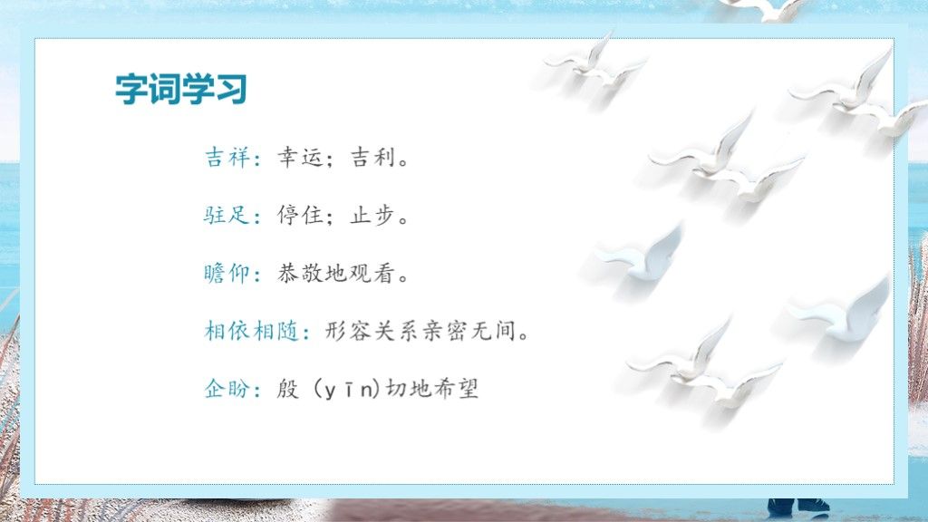 老人与海鸥小学人教版6年级语文教学课件PPT模板5