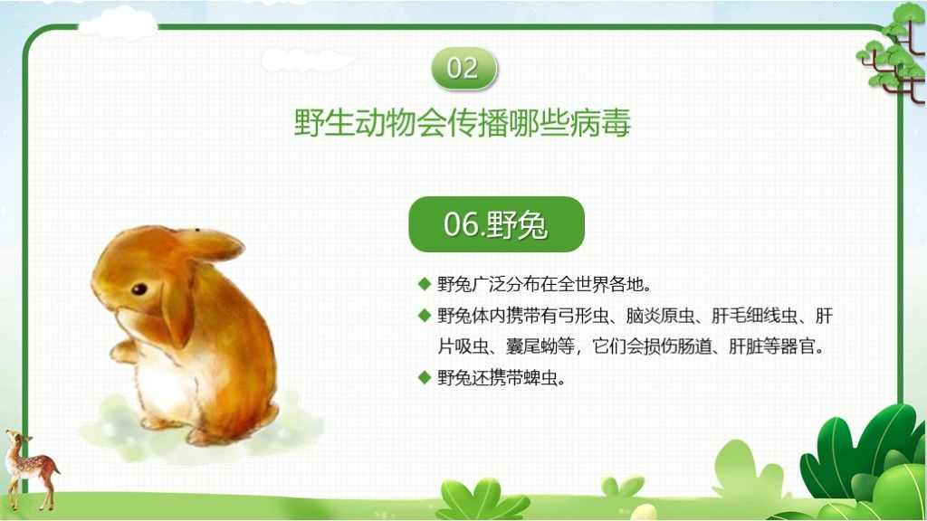 世界野生动植物日主题教育PPT模板8
