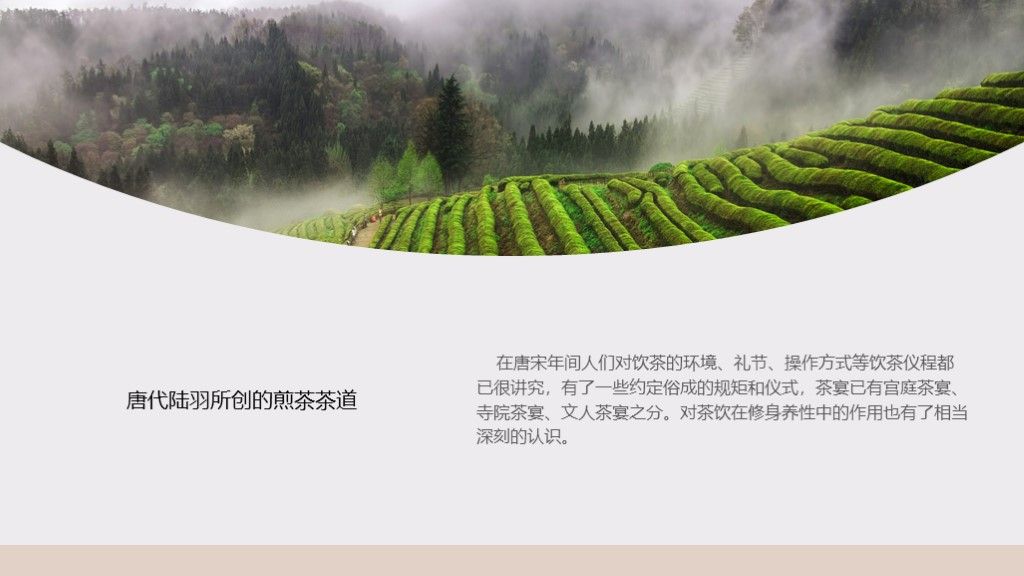 中国茶文化茶道茶叶企业品牌宣传PPT模板4