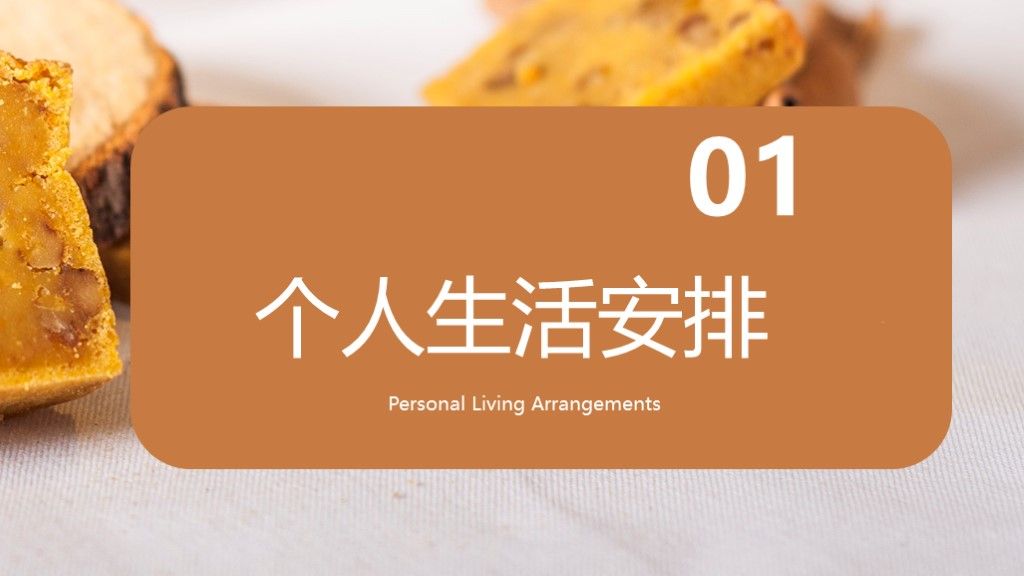 个人生活工作安排计划总结PPT模板2