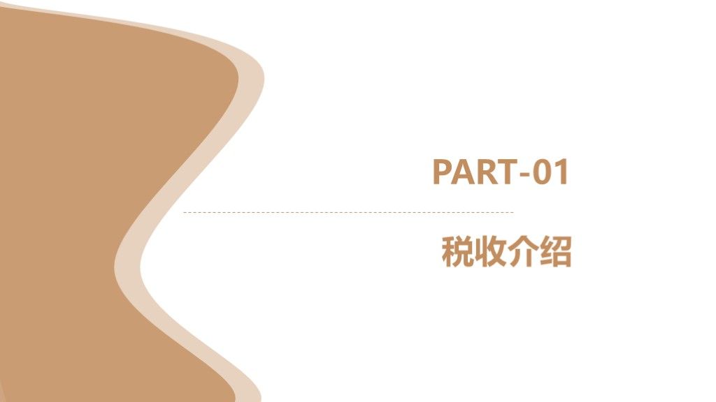 简约风个人所得税降低工作汇报通用PPT模板2