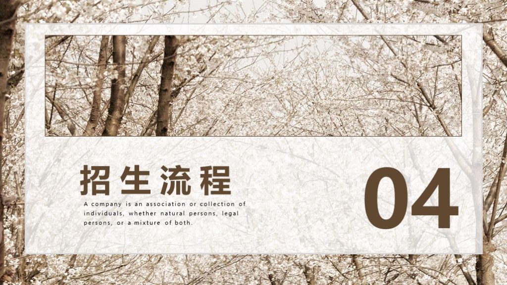 简约风春季招生工作计划总结通用PPT模板9