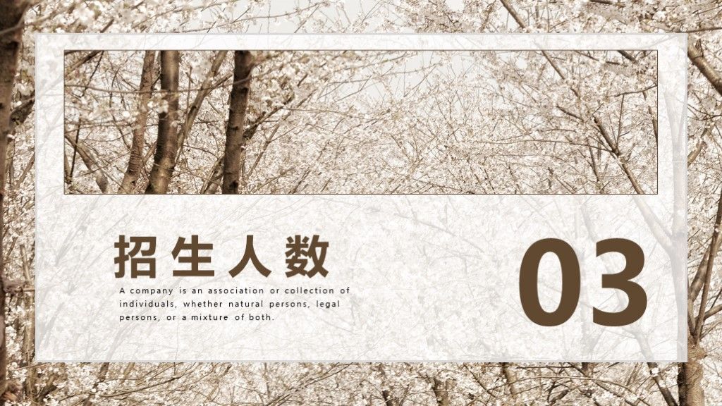 简约风春季招生工作计划总结通用PPT模板7