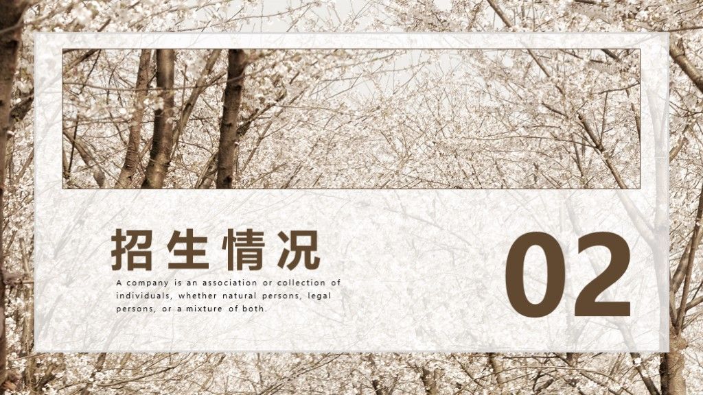 简约风春季招生工作计划总结通用PPT模板5