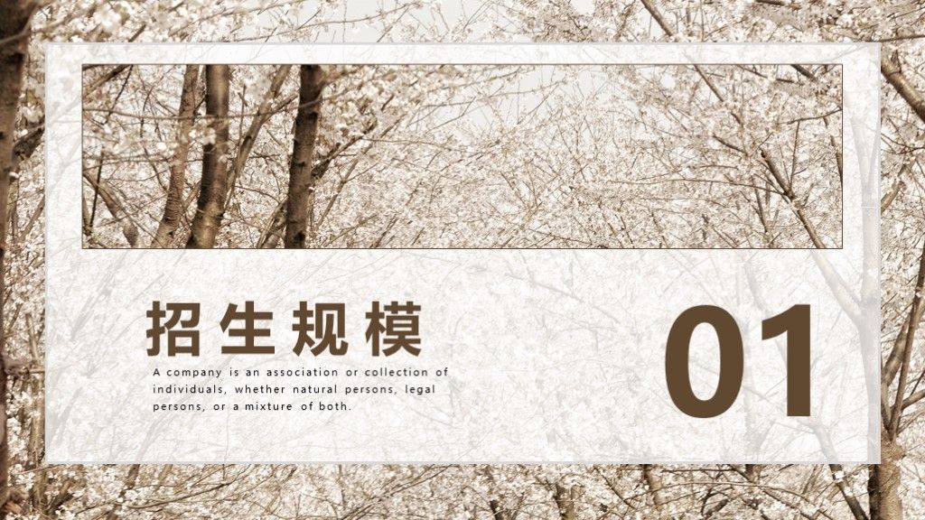 简约风春季招生工作计划总结通用PPT模板2