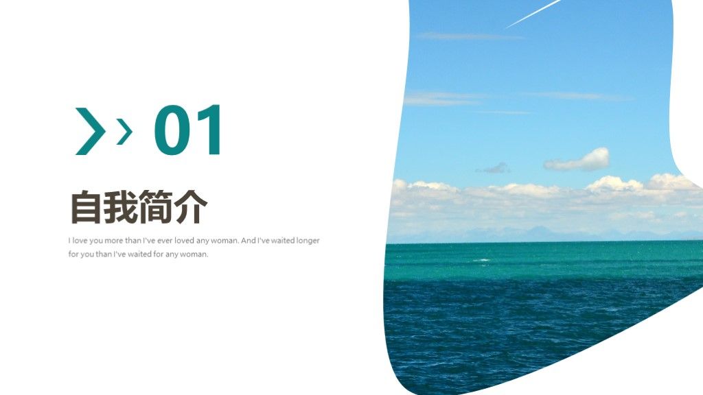 简约风竞聘述职报告总结汇报通用PPT模板2