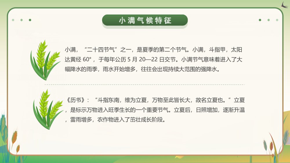黄绿卡通风二十四节气小满介绍宣传PPT课件10