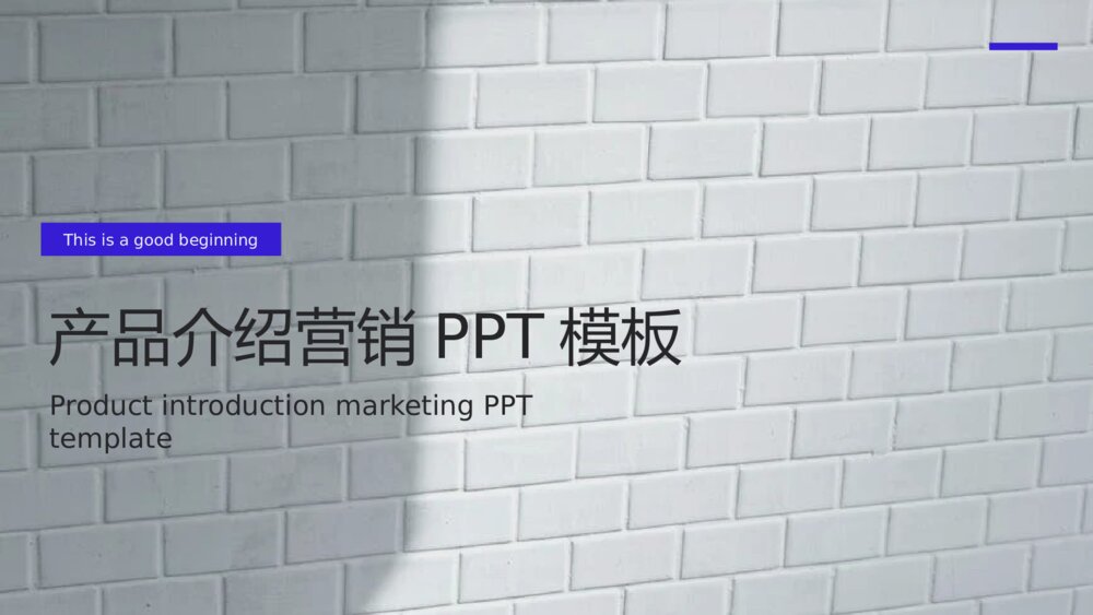 产品介绍产品发布营销PPT模板1
