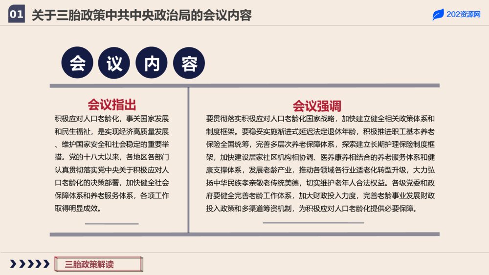 三胎政策解读主题教育PPT模板4