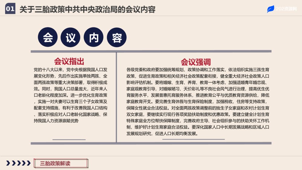 三胎政策解读主题教育PPT模板5