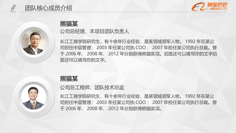 阿里巴巴公司专用年终总结PPT模板10