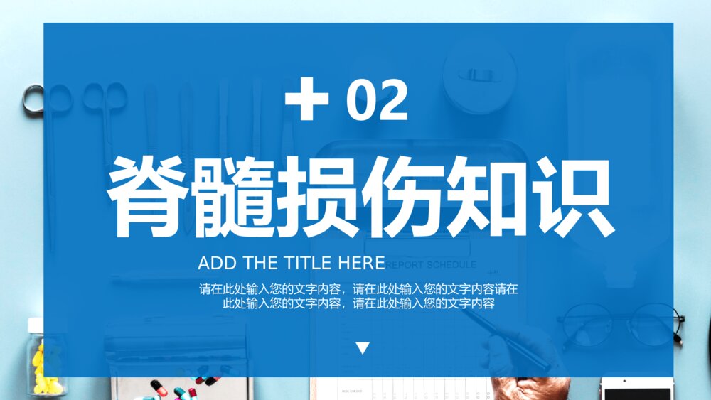 骨髓损伤护理查房培训PPT模板8