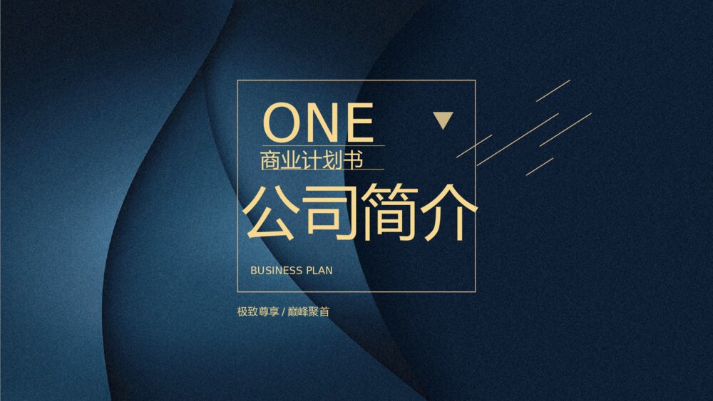 高端质感时尚商业计划书PPT模板3