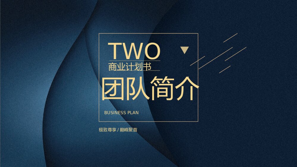 高端质感时尚商业计划书PPT模板10