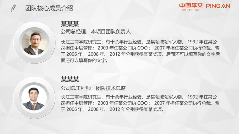 中国平安员工专用工作汇报PPT模板10