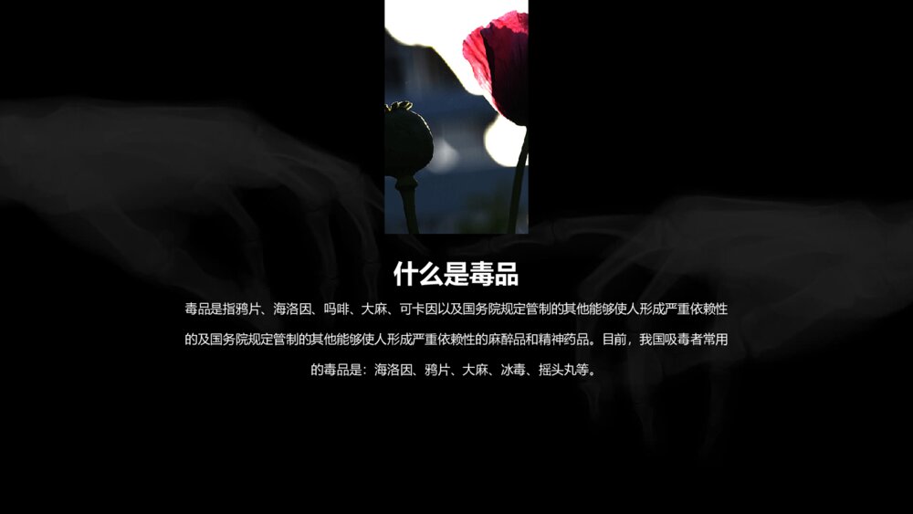 拒绝毒品禁毒教育课件PPT模板4