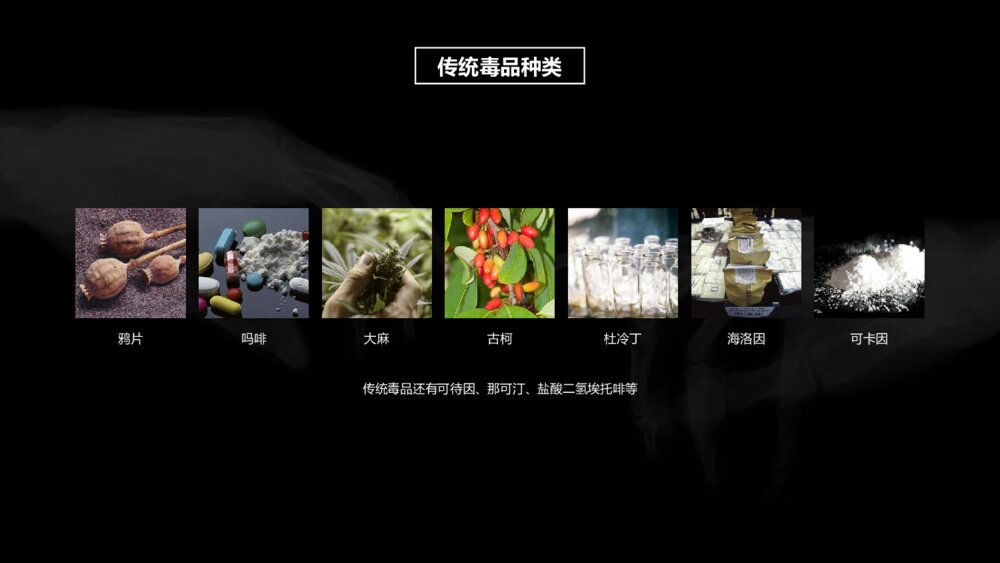 拒绝毒品禁毒教育课件PPT模板5