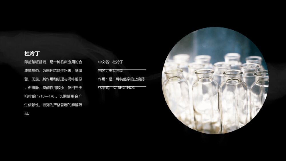 拒绝毒品禁毒教育课件PPT模板10