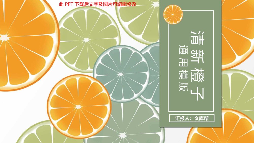 清新水果橙子片柠檬片PPT模板1