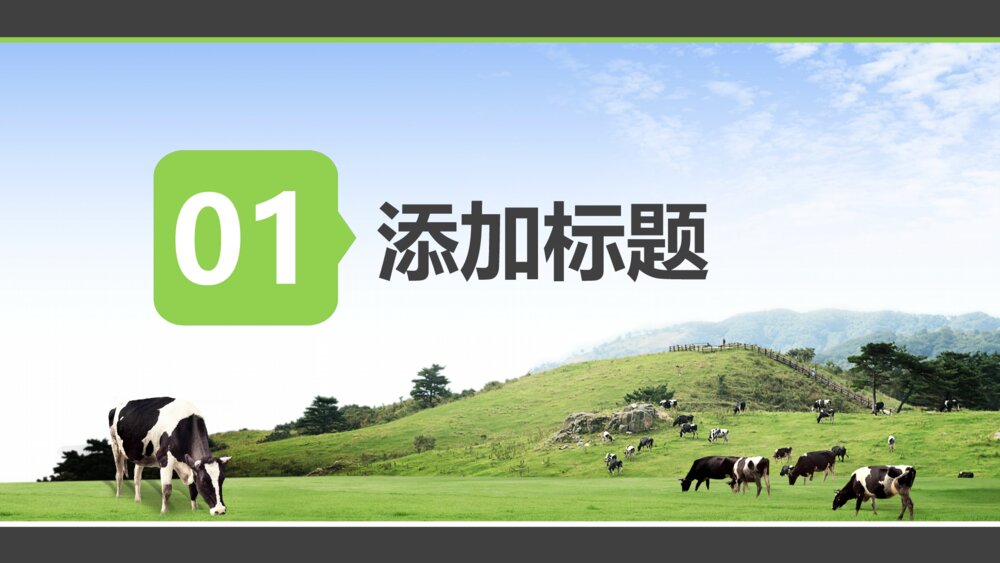 草原牧场奶牛农场通用PPT模版3