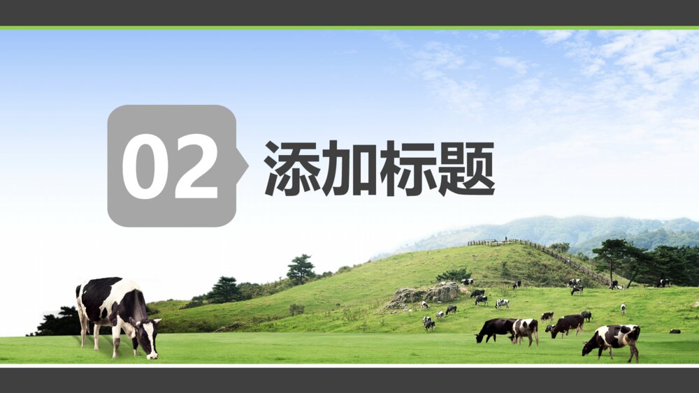 草原牧场奶牛农场通用PPT模版8