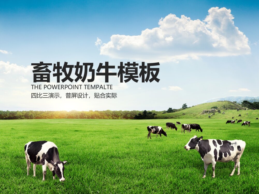最专业的畜牧养殖类通用ppt模板1