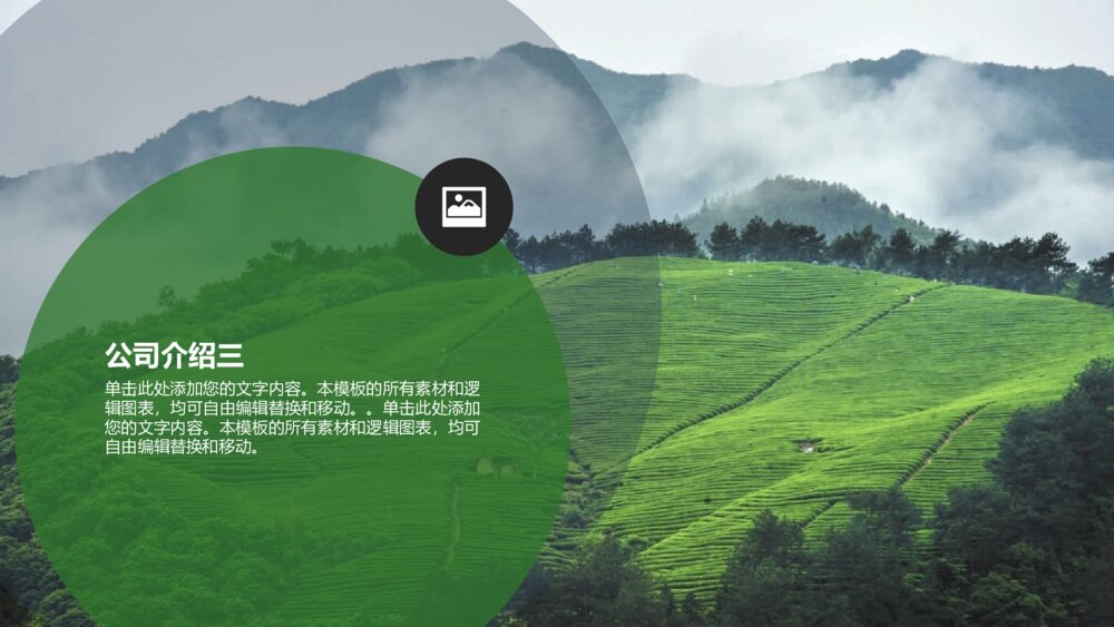 大气专业中国风茶叶茶园高端PPT模板8