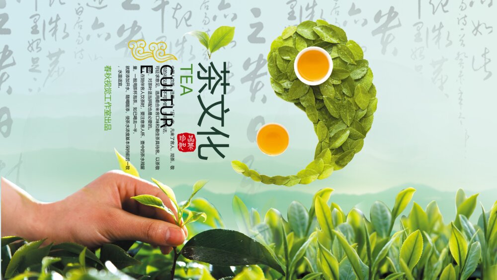 生态绿茶茶道茶文化茶展茶园茶庄茶店茶叶茶商PPT1