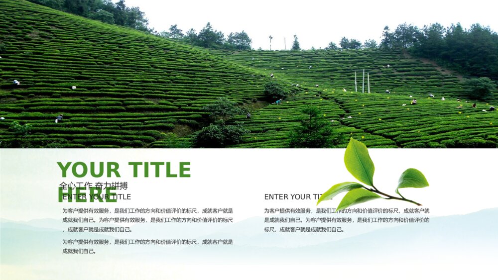 生态绿茶茶道茶文化茶展茶园茶庄茶店茶叶茶商PPT5