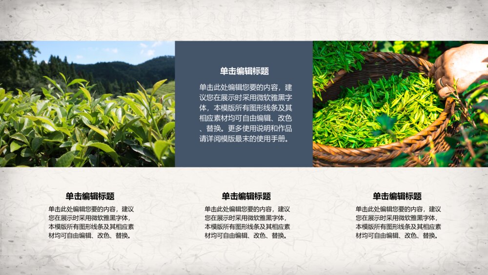 中国风水墨茶叶茶园绿茶保健养生茶文化通用ppt模板4