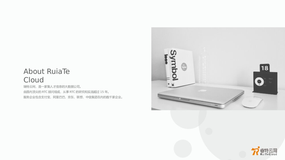 大数据公司精品商业计划书商务风格ppt模板2