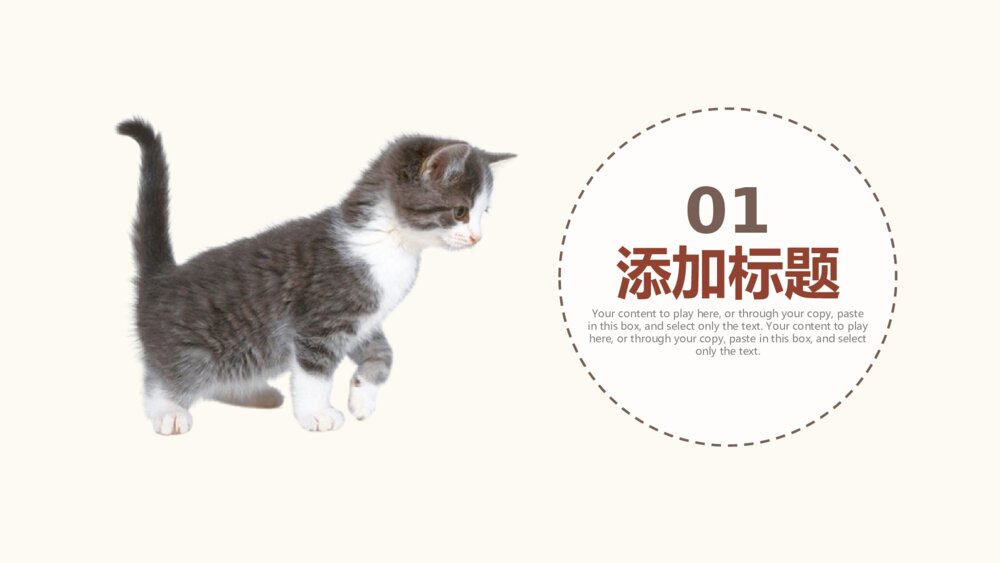 可爱动物宠物店萌宠动态PPT模板3
