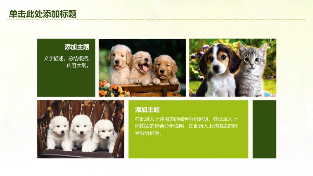 萌宠宠物店宠物美容工作总结汇报动态PPT模板4