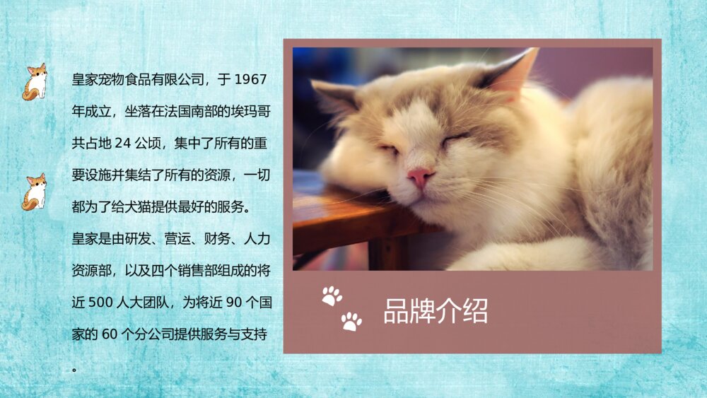 宠物企业精品融资商业计划书温馨淡蓝色ppt模板4